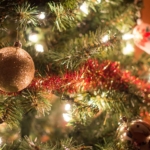 Vianočný stromček na poslednú chvíľu? Tento rok nie!