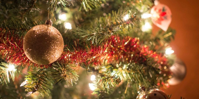 Vianočný stromček na poslednú chvíľu? Tento rok nie!